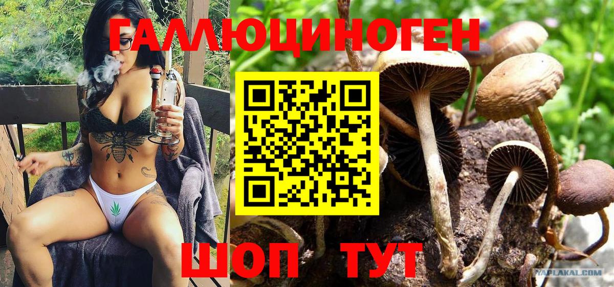Асино  Галлюциногенные грибы мухоморы  Вход с VPN 