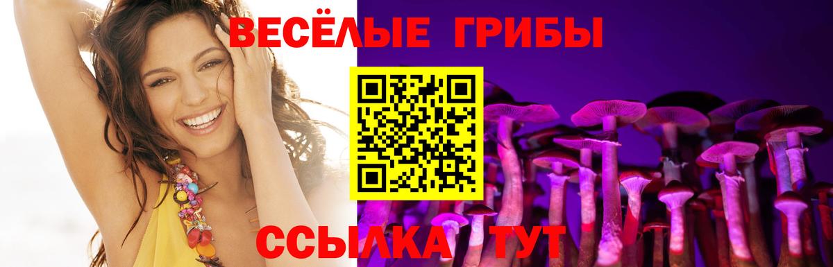 Псилоцибиновые грибы прущие грибы Асино